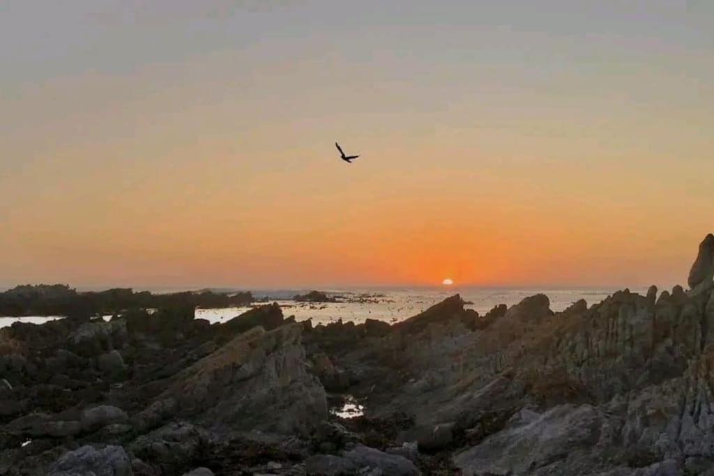 Hermanus Sea View Room Eksteriør bilde